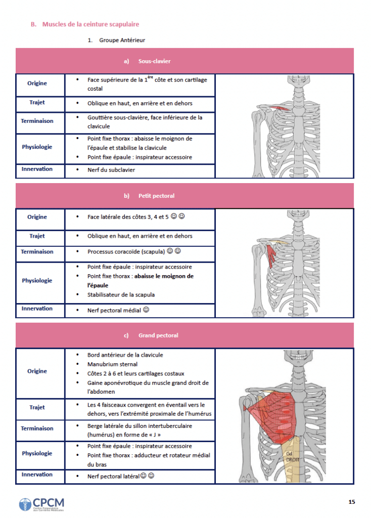 Exemple d'une fiche de cours de la prépa santé CPCM